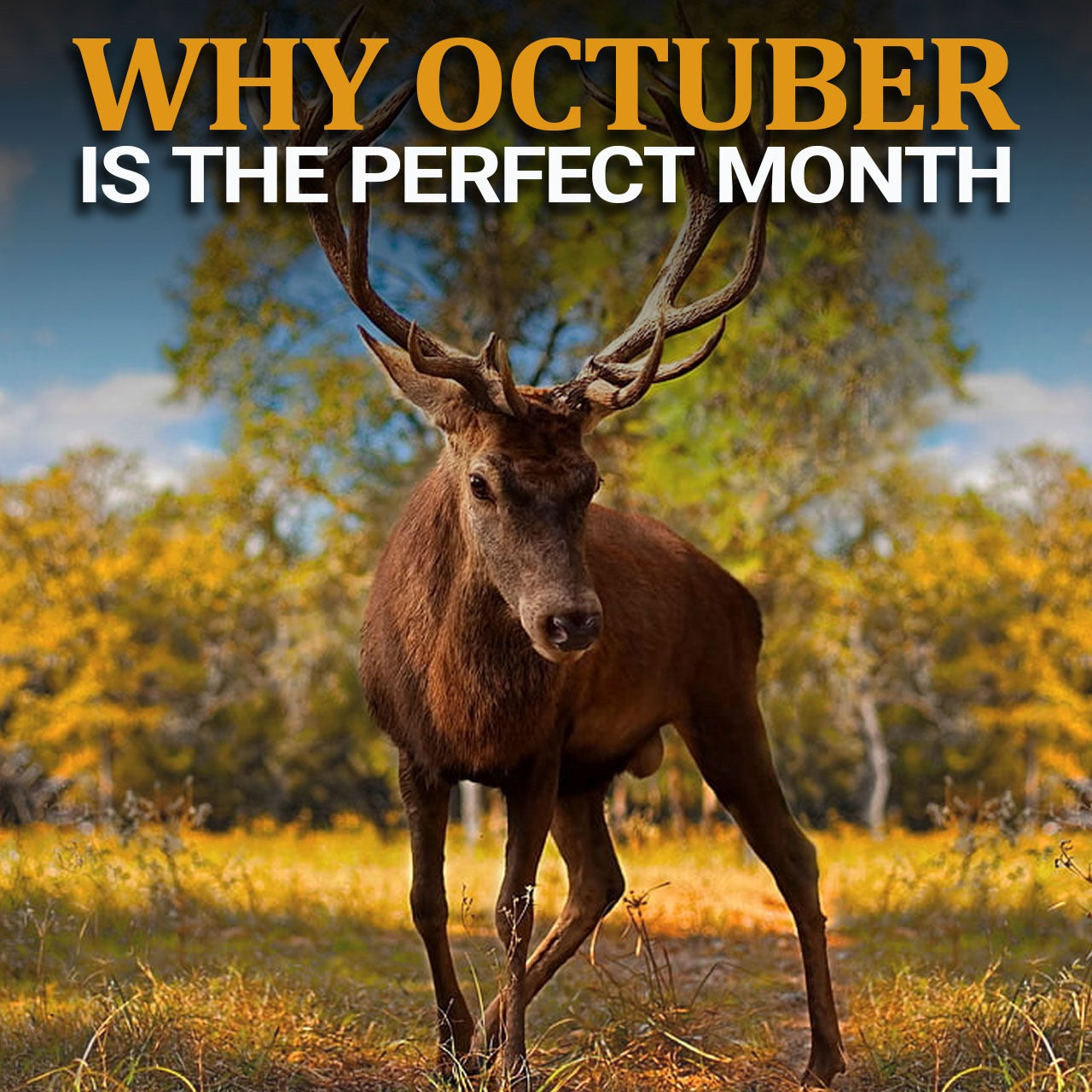 Why October Is The Perfect Month?