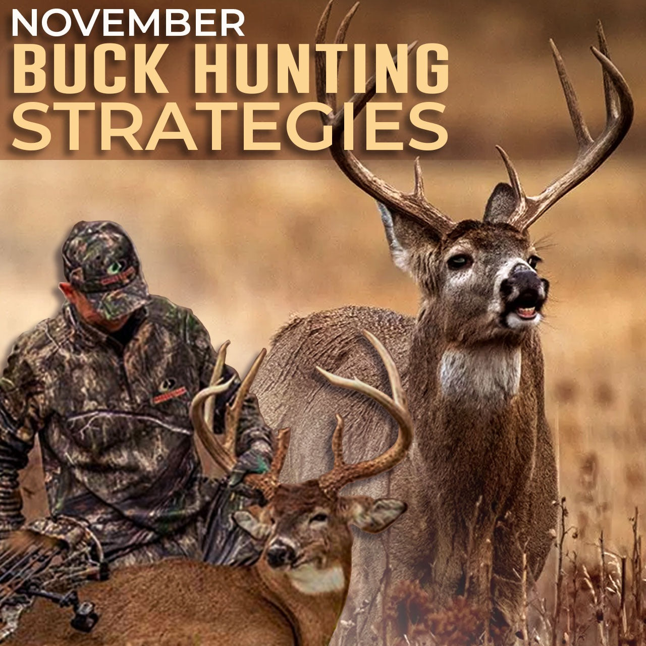 November Buck Hunting Strategies
