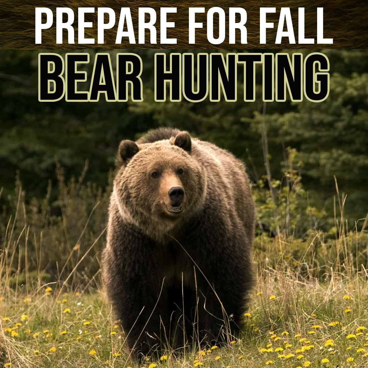 Prepare For Fall Bear Hunting