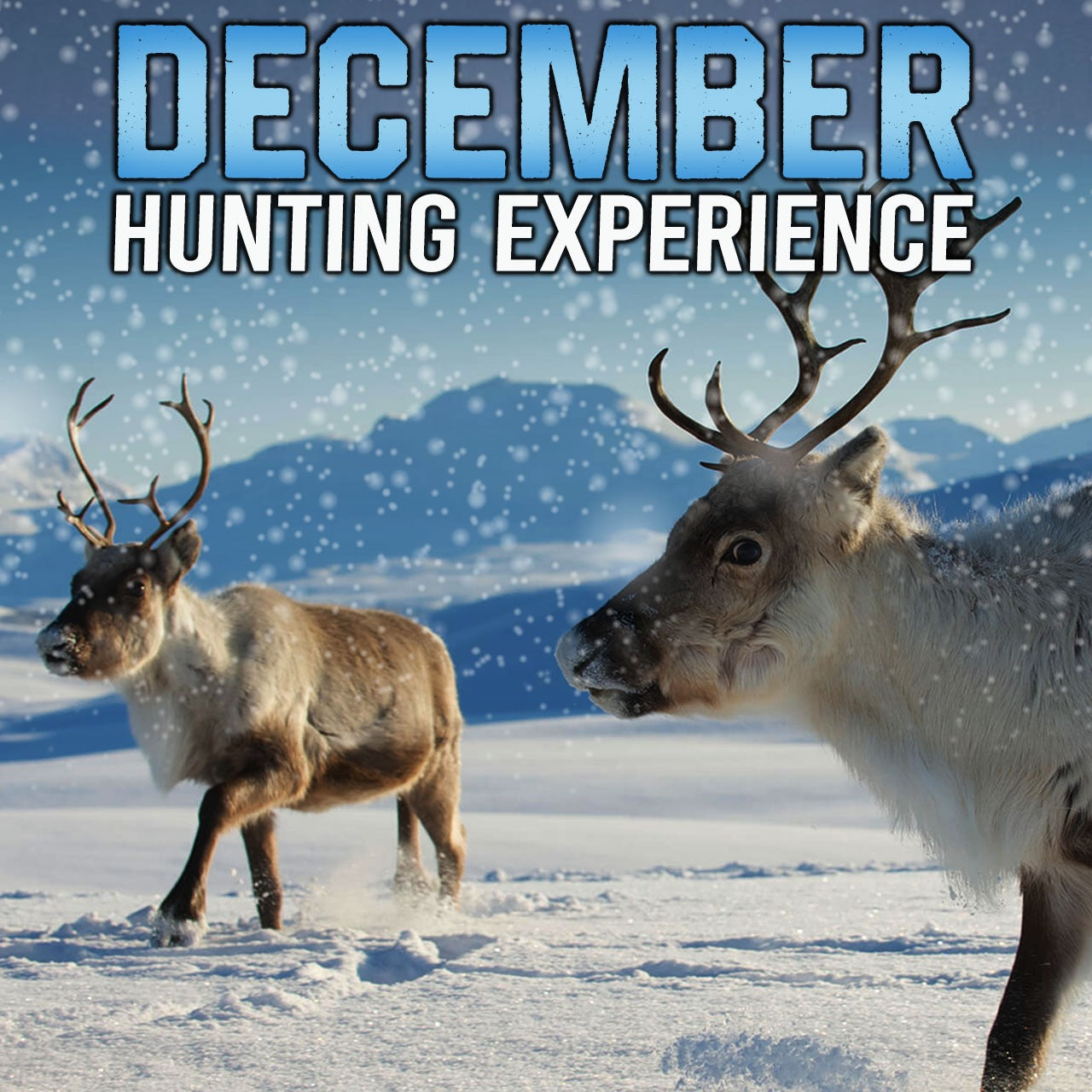Decembe Hunting Experience!