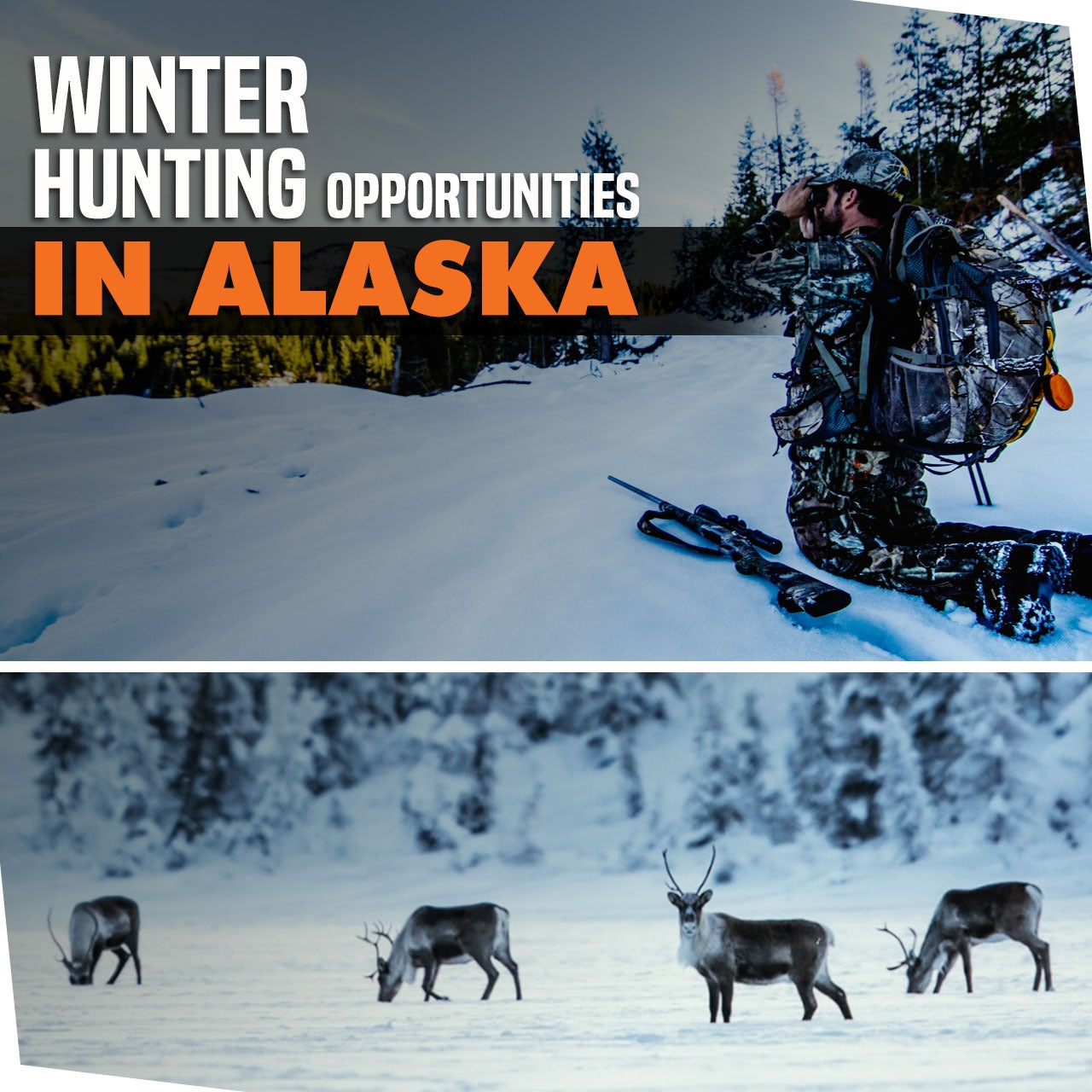 Winter Hunting Oppertunties in Alaska