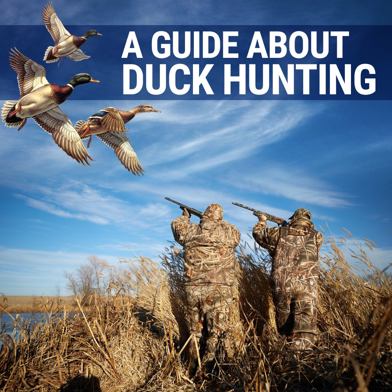 A Guide about Duck Hunting