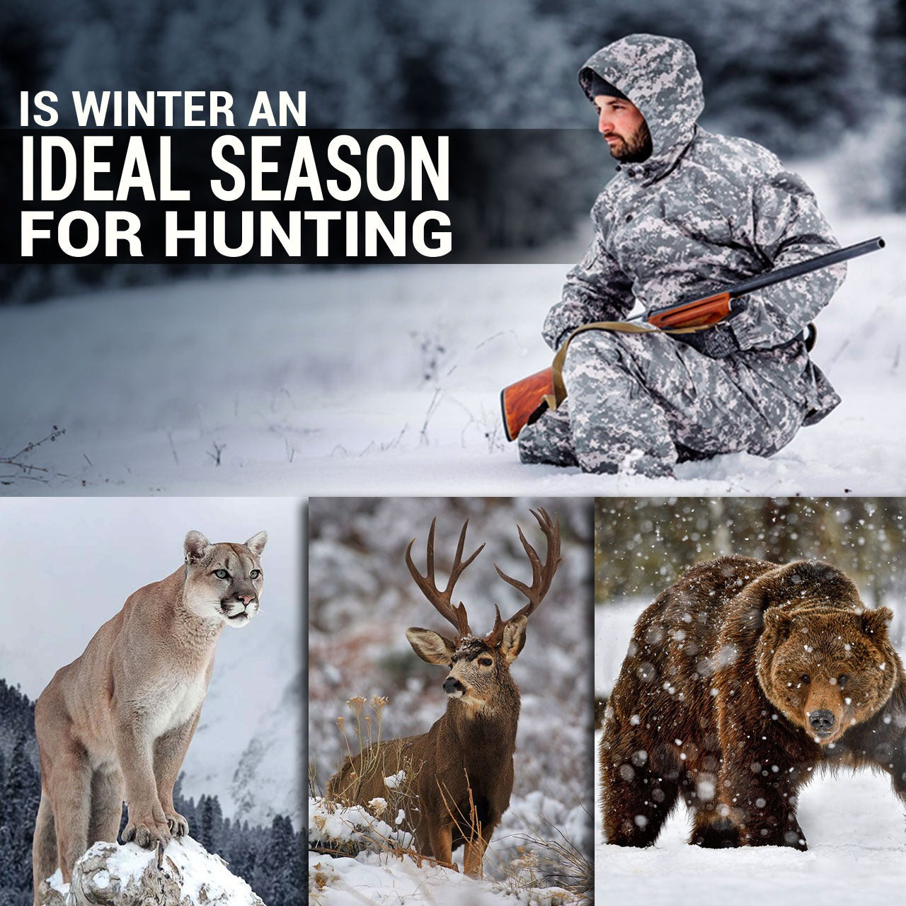 Is Winter an Ideal Season For Hunting?