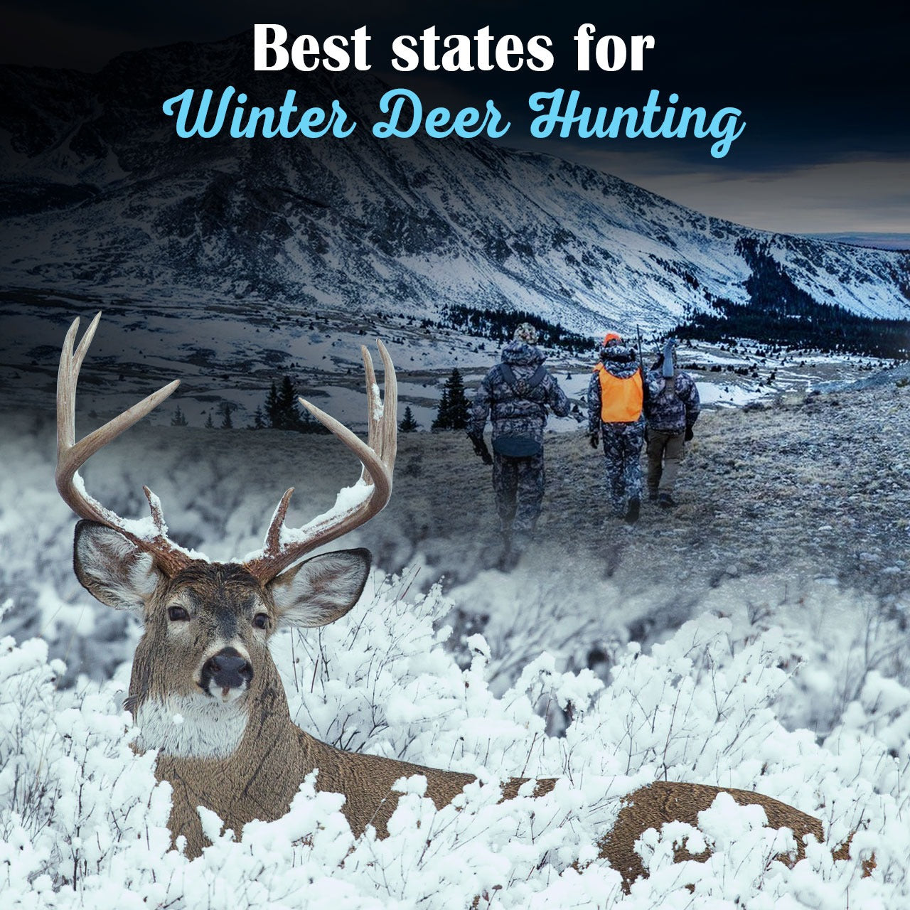 Best States for Winter Deer Hunting