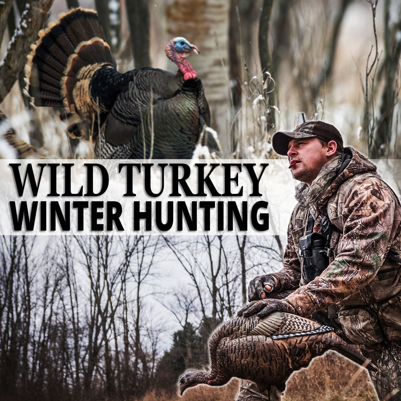 Wild Turkey Winter Hunting
