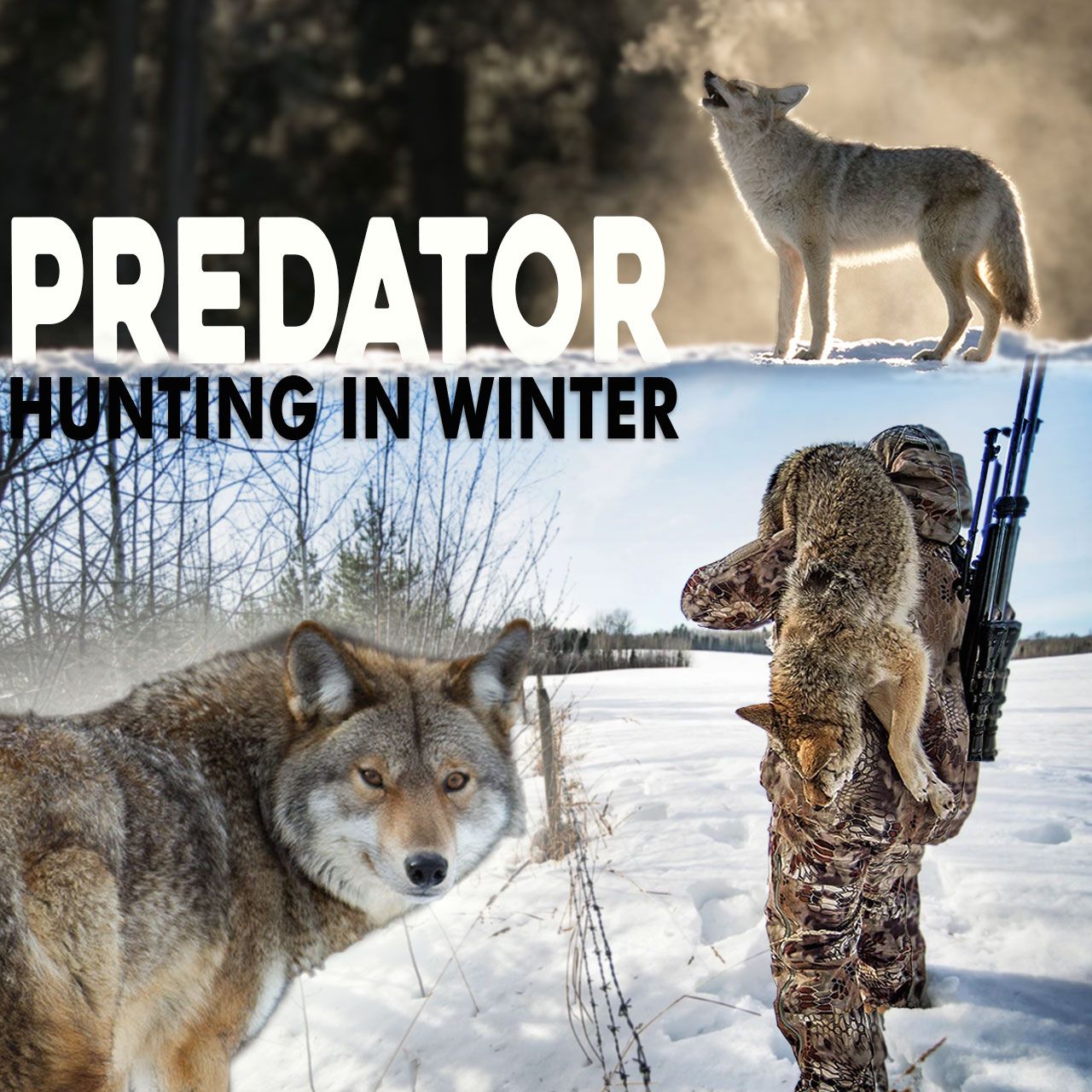 Predator Hunting in Winter