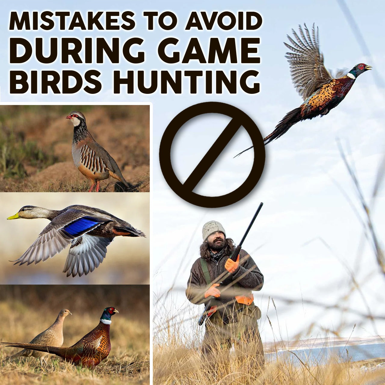 Mistakes to Avoid During Game Birds Hunting