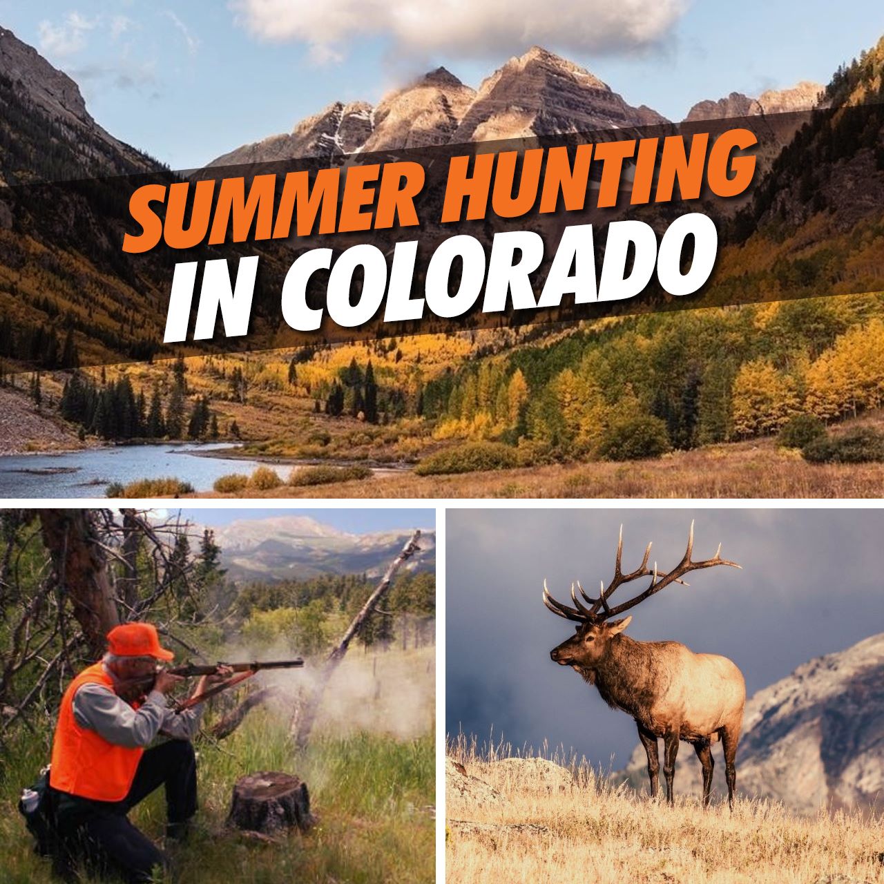 Summer Hunting in Colorado