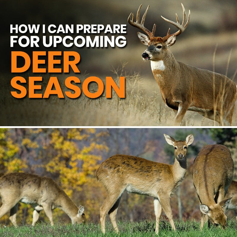 How I Can Prepare For Upcoming Deer Season