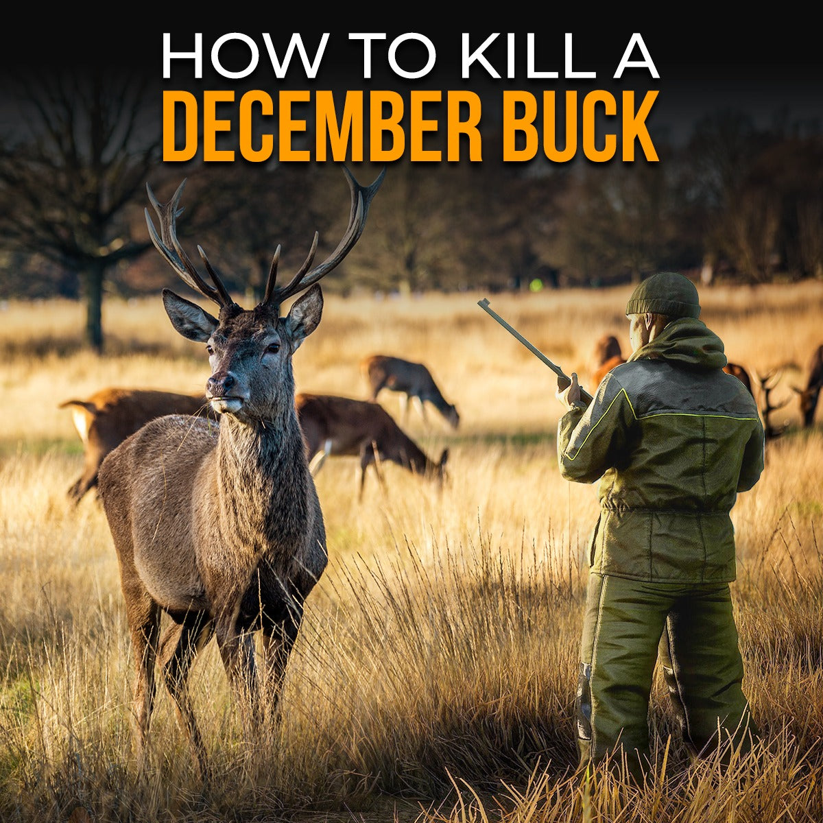 How To Kill A December Buck