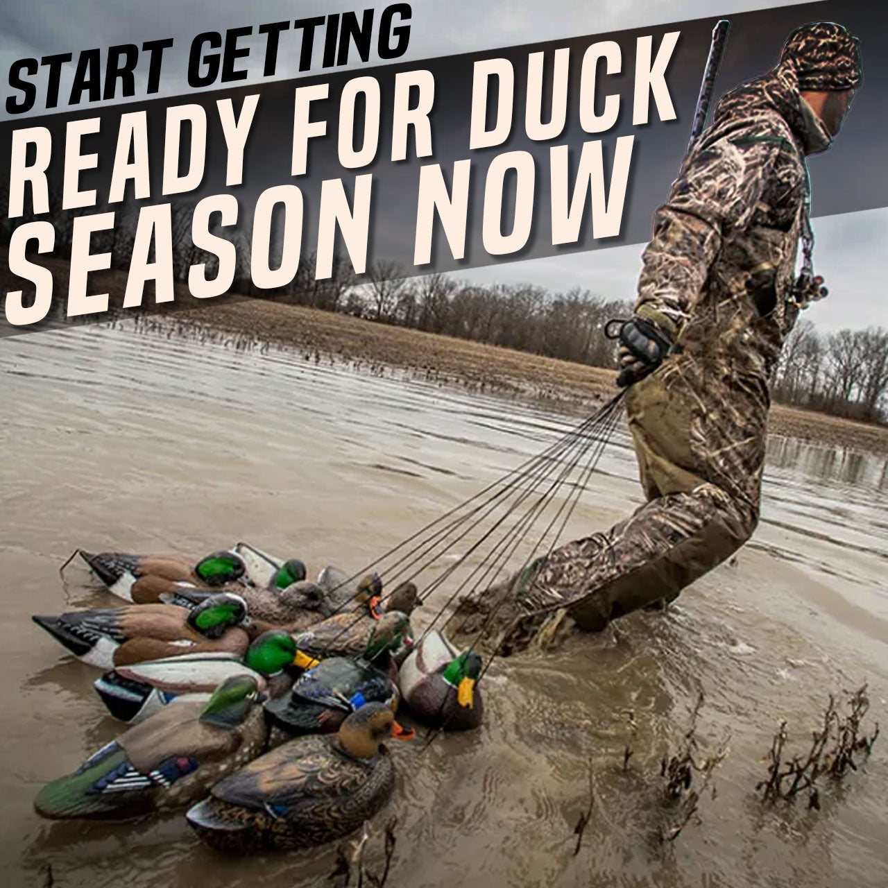 Start Getting Ready for Duck Season Now!
