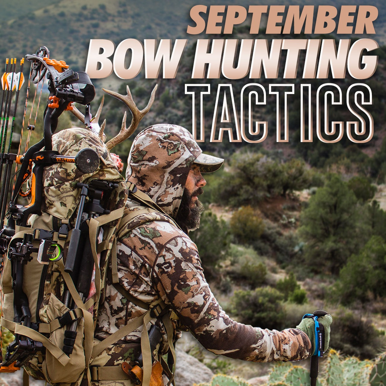 September Bow Hunting Tactics