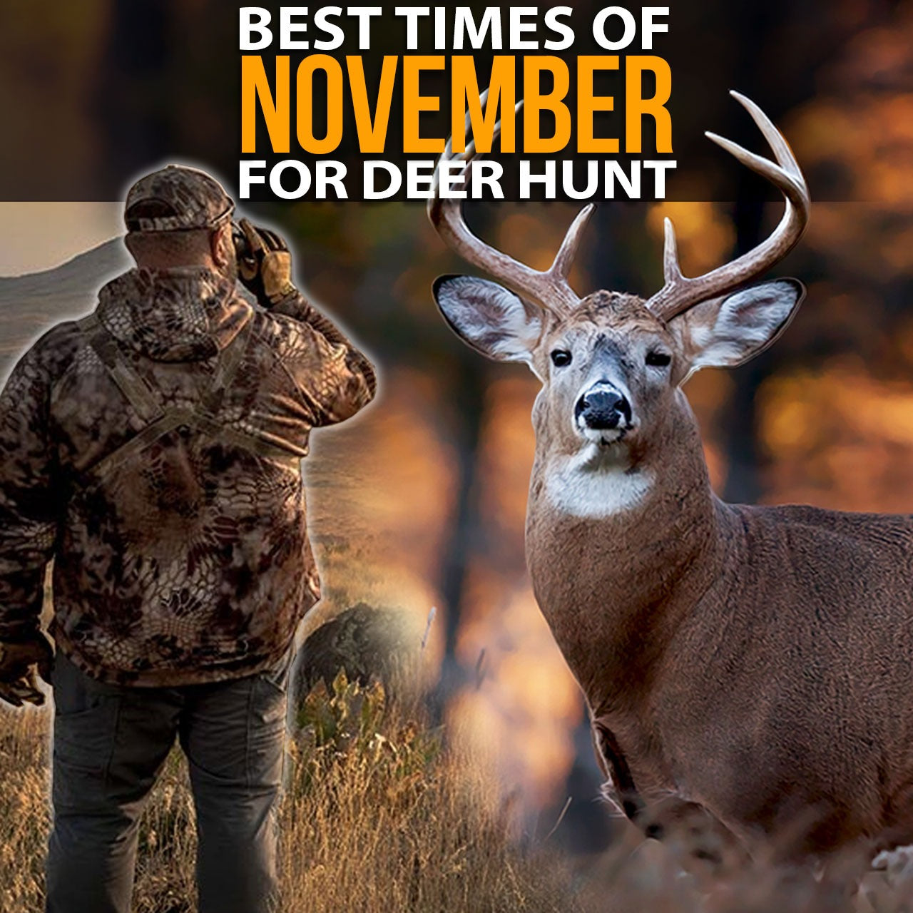 Best Times Of November For Deer Hunt