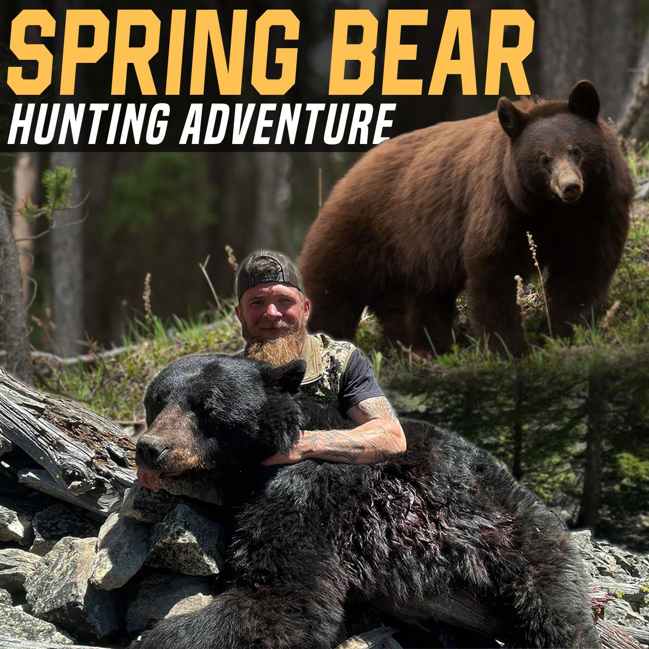 Spring Bear Hunting Adventure